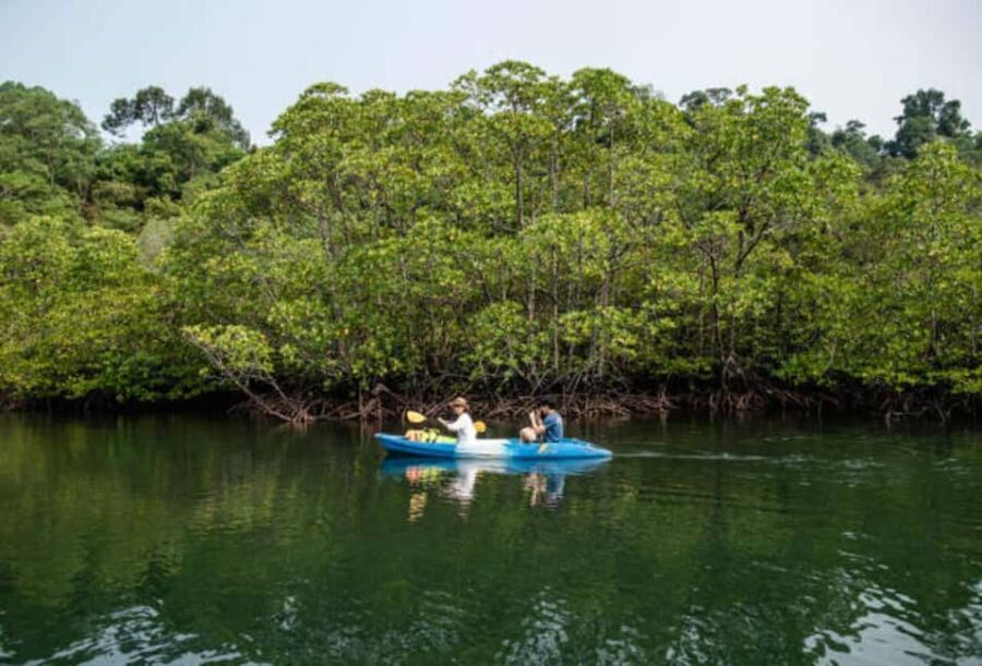 ZANZIBAR; Jozani forest & Mangrove Kayak Tour - FAQ