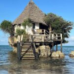Zanzibar: Jozani Forest Monkey Tour and The Rock Restaurant - Wildlife Encounters and Natural Beauty