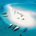ZANZIBAR: Jozani Forest, Prison Island & Nakupenda Sandbank - Exploring Jozani Forest: Zanzibar’s Natural Gem