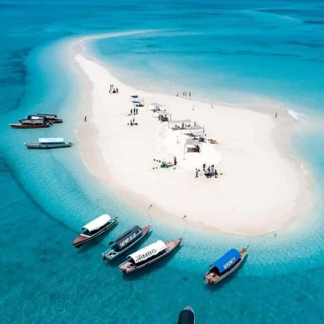 ZANZIBAR: Jozani Forest, Prison Island & Nakupenda Sandbank - Exploring Jozani Forest: Zanzibar’s Natural Gem