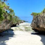 Zanzibar: Jozani Forest, Reptile Park, and Mtende Beach Tour - Mtende Beach: A Slice of Paradise