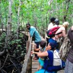 Zanzibar: Jozani Forest, Salaam Cave, & Mtende Beach Tour - The Sum Up