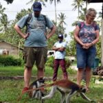Zanzibar: Jozani forest, Salaam cave & Mtende beach tour - Salaam Cave and the Joy of Swimming with Sea Turtles