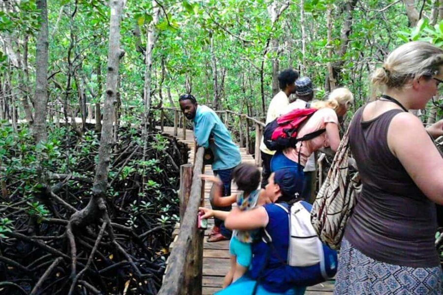 Zanzibar: Jozani Forest, Salaam Cave, & Mtende Beach Tour - The Sum Up