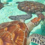 Zanzibar: Jozani Forest, Salaam Cave, & Rock Restaurant Tour - Practical Details and Tips for the Tour