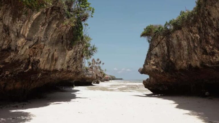 Zanzibar: Jozani Forest, Salam cave & Mtende Beach Tour - Salam Cave: A Hidden Underground Marvel
