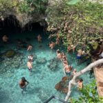 Zanzibar: Jozani Forest & Sea Tortoises Sanctuary Tour - authentic experiences and genuine value