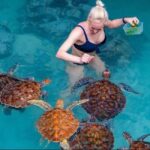 Zanzibar: Jozani Forest & Sea Tortoises Sanctuary Tour - The Itinerary Breakdown