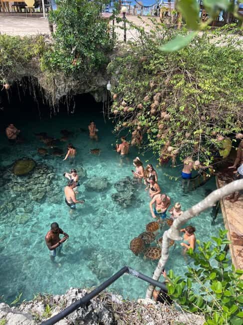 Zanzibar: Jozani Forest & Sea Tortoises Sanctuary Tour - authentic experiences and genuine value