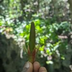 Zanzibar: Jozani Forest & Spice Farm Private Tour with Lunch - What Sets This Tour Apart?