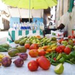 Zanzibar: Jozani Forest & Spice Farm Tour with Tea, Transfer - Who Will Enjoy This Tour?