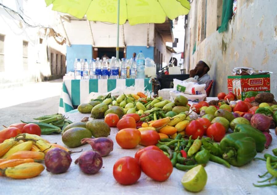 Zanzibar: Jozani Forest & Spice Farm Tour with Tea, Transfer - Who Will Enjoy This Tour?