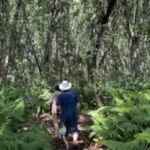 Zanzibar: Jozani Forest, Spice Farms & Stone Town Day Tour - Practical Tips for the Tour
