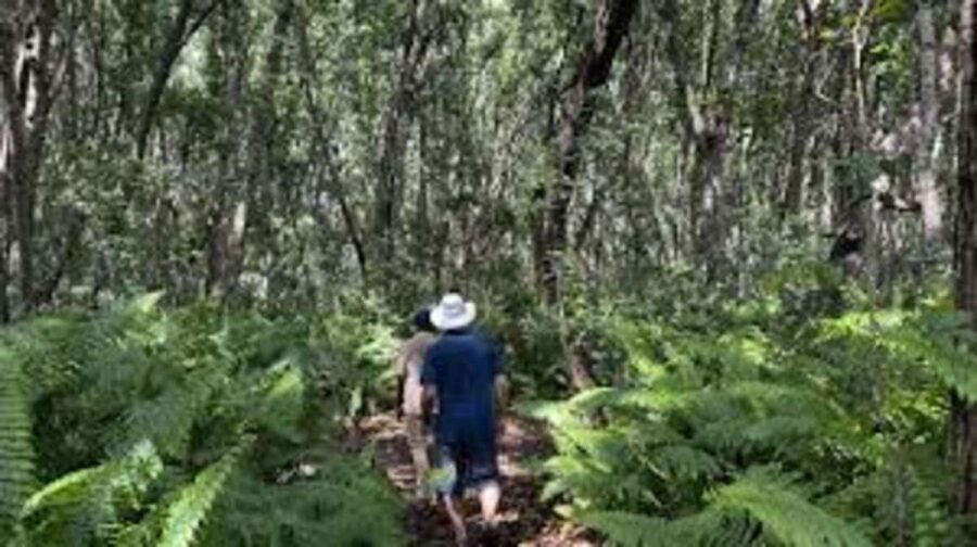 Zanzibar: Jozani Forest, Spice Farms & Stone Town Day Tour - Practical Tips for the Tour