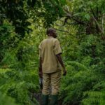 Zanzibar: Jozani Forest, Swahili Cave & Mtende Beach Tour - What’s Included and What to Consider
