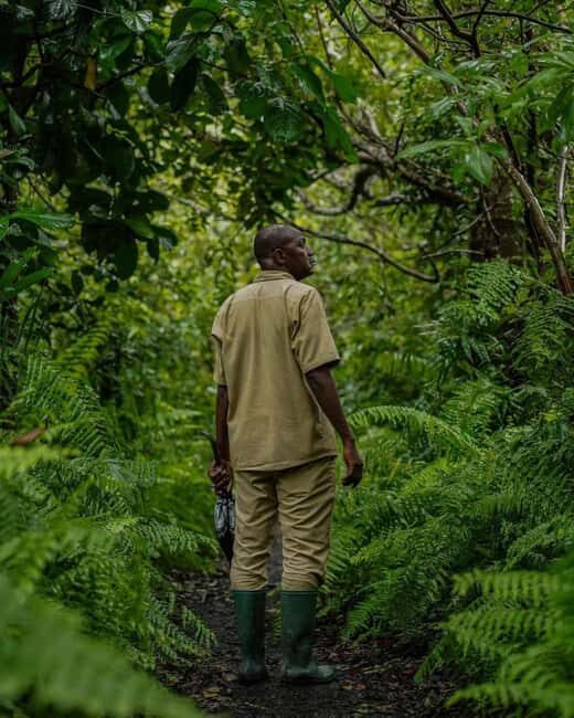 Zanzibar: Jozani Forest, Swahili Cave & Mtende Beach Tour - What’s Included and What to Consider