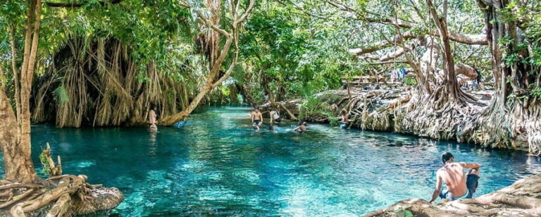 Zanzibar: Jozani Forest Watching Colobus Monkeys Guided Tour - Practical Details and Value