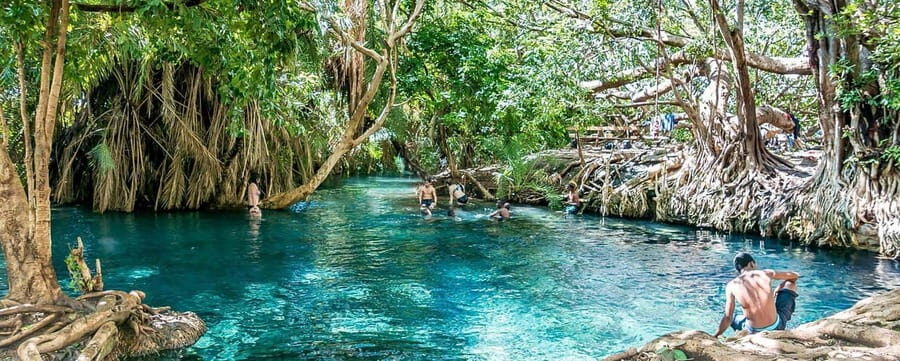 Zanzibar: Jozani Forest Watching Colobus Monkeys Guided Tour - Practical Details and Value