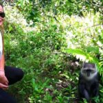 Zanzibar: Jozani Forest Watching Monkeys Half-Day Tour - Why This Tour Is Worth It