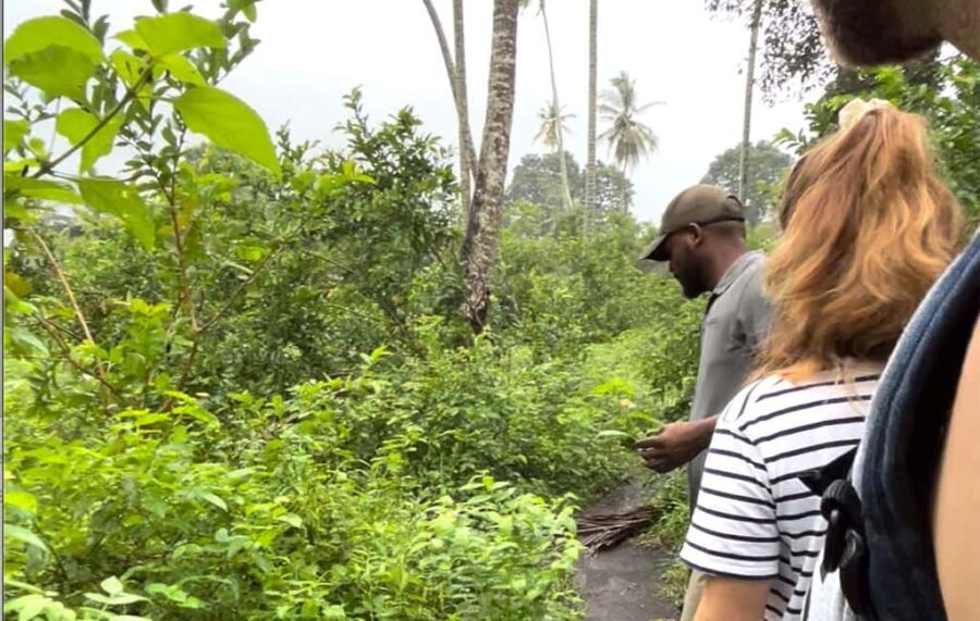 ZANZIBAR: JOZANI FOREST - The Overall Value