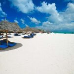 ZANZIBAR: Jozani Forest,Salaam Cave, The Rock & Blue Lagoon - Who Is This Tour Best For?