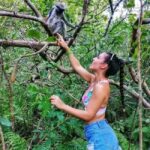 Zanzibar: Jozani Monkeys, Butterfly Garden & Reptile Park - Practical Details and Tips