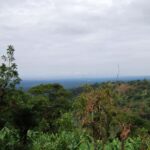 Zanzibar: Kiwengwa Forest and Caves Day Trip - Who Is This Tour Best Suited For?