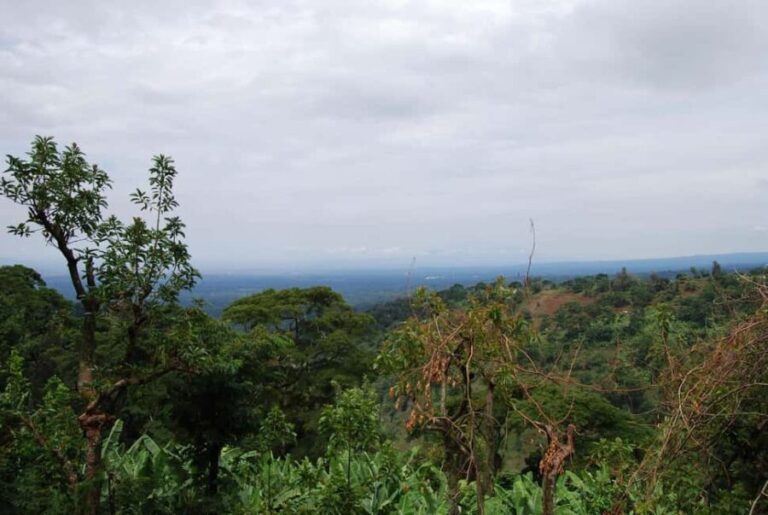 Zanzibar: Kiwengwa Forest and Caves Day Trip - Who Is This Tour Best Suited For?