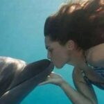 Zanzibar: Kizimkazi Dolphins Tour with Swimming & Snorkeling - How Does the Tour Value Stand Up?