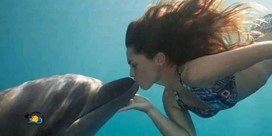 Zanzibar: Kizimkazi Dolphins Tour with Swimming & Snorkeling - How Does the Tour Value Stand Up?