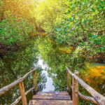 Zanzibar: Magic Tower Tour, Spices farm and Jozani forest - FAQ