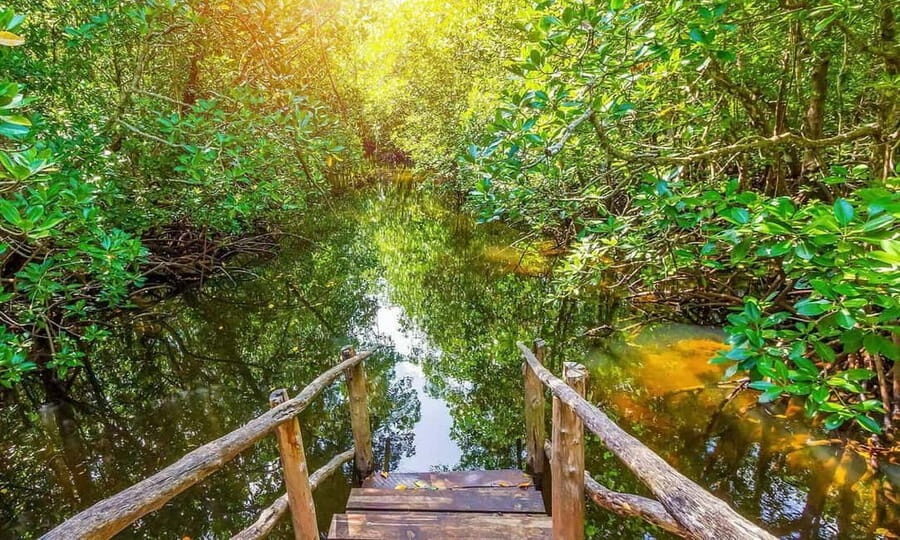 Zanzibar: Magic Tower Tour, Spices farm and Jozani forest - FAQ