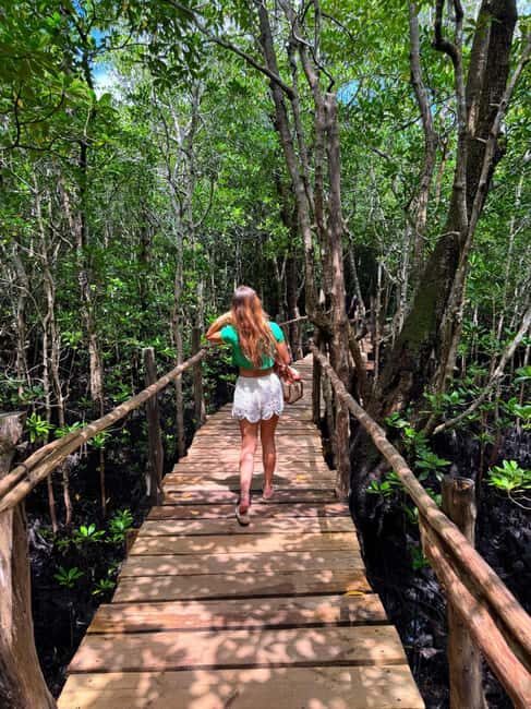 Zanzibar: Mangrove Forest Eco-Kayak Tour - An In-Depth Look at the Zanzibar Mangrove Eco-Kayak Tour