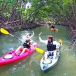 Zanzibar: Mangrove Forest Kayaking Tour & Paje Beach Visit - An overview of the experience: a day of kayaking and beach leisure