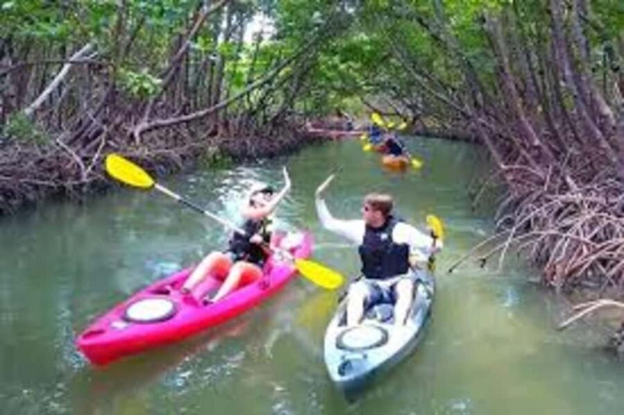 Zanzibar: Mangrove Forest Kayaking Tour & Paje Beach Visit - An overview of the experience: a day of kayaking and beach leisure