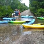 ZANZIBAR: Mangrove Kayaking Tour with Lunch - Why This Tour Works Well
