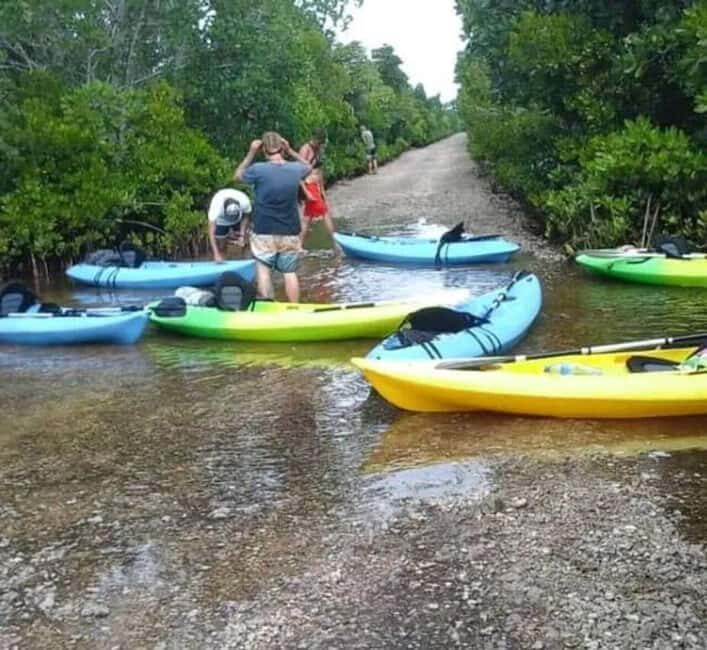 ZANZIBAR: Mangrove Kayaking Tour with Lunch - Why This Tour Works Well