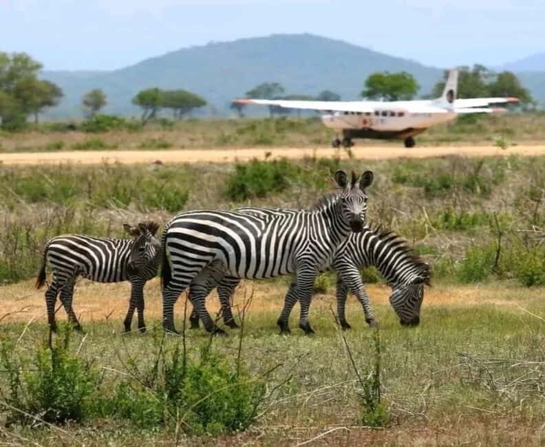Zanzibar: Mikumi National Park Day Trip with Flights - The Value of the Experience