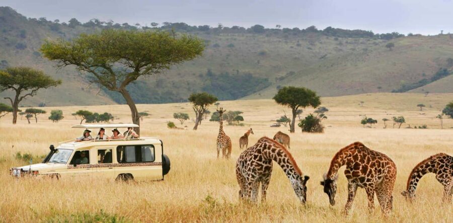 Zanzibar: Mikumi Safari and Udzungwa Waterfall - Detailed Breakdown of the Itinerary