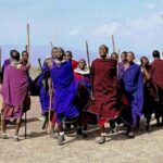 Zanzibar: Mikumi Wonderful Safari with Open Jeeps - Whats Included & Whats Not