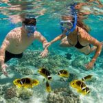 ZANZIBAR: Mnemba: African Maldives Day Tour with Lunch - Swimming with Dolphins: A Magical Encounter