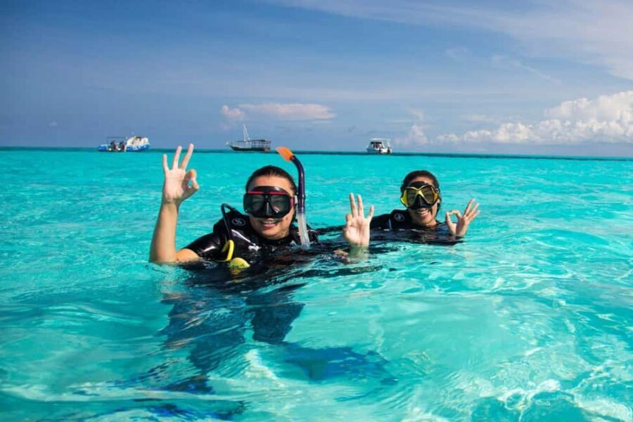 Zanzibar: Mnemba Atoll Private tour - What’s Included and What to Consider