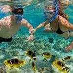 Zanzibar: Mnemba Atoll Trip and Dolphin Snorkel Experience - Detailed Breakdown of the Itinerary