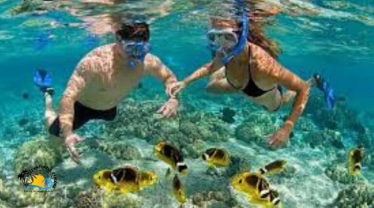 Zanzibar: Mnemba Atoll Trip and Dolphin Snorkel Experience - Detailed Breakdown of the Itinerary