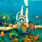 Zanzibar: Mnemba Dolphins Tour with Snorkeling and Sandbank - Transport, Duration, and Group Size