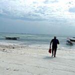 ZANZIBAR: MNEMBA ISLAND DOLPHIN AND SNORKELING - The Details That Matter