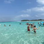 Zanzibar: Mnemba Island Dolphin and Snorkeling Tour - What You Can Expect from the Tour