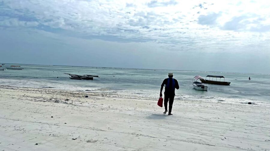 ZANZIBAR: MNEMBA ISLAND DOLPHIN AND SNORKELING - The Details That Matter