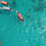 Zanzibar: Mnemba Island & Dolphin Swim with option lunch - Practical Details & Tips for Travelers
