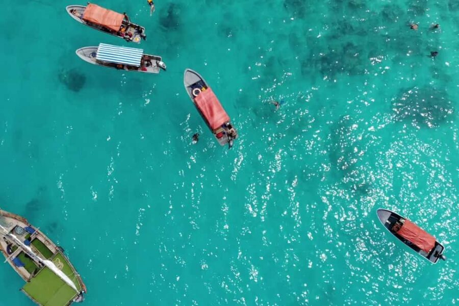 Zanzibar: Mnemba Island & Dolphin Swim with option lunch - Practical Details & Tips for Travelers